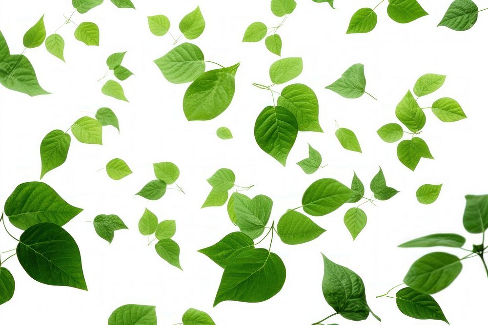 Green leaves flying backgrounds plant herbs. AI generated Image by rawpixel.