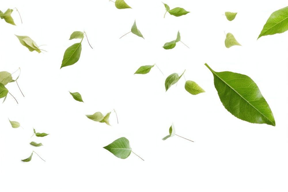 Leaves flying backgrounds plant leaf. AI generated Image by rawpixel.