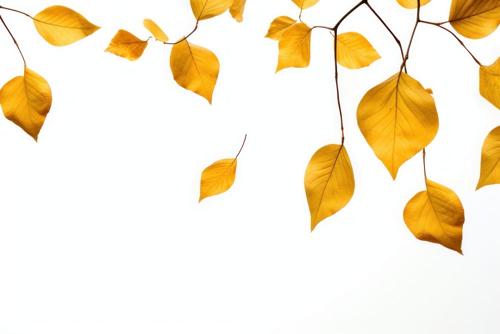 Leaves flying backgrounds plant leaf. AI generated Image by rawpixel.