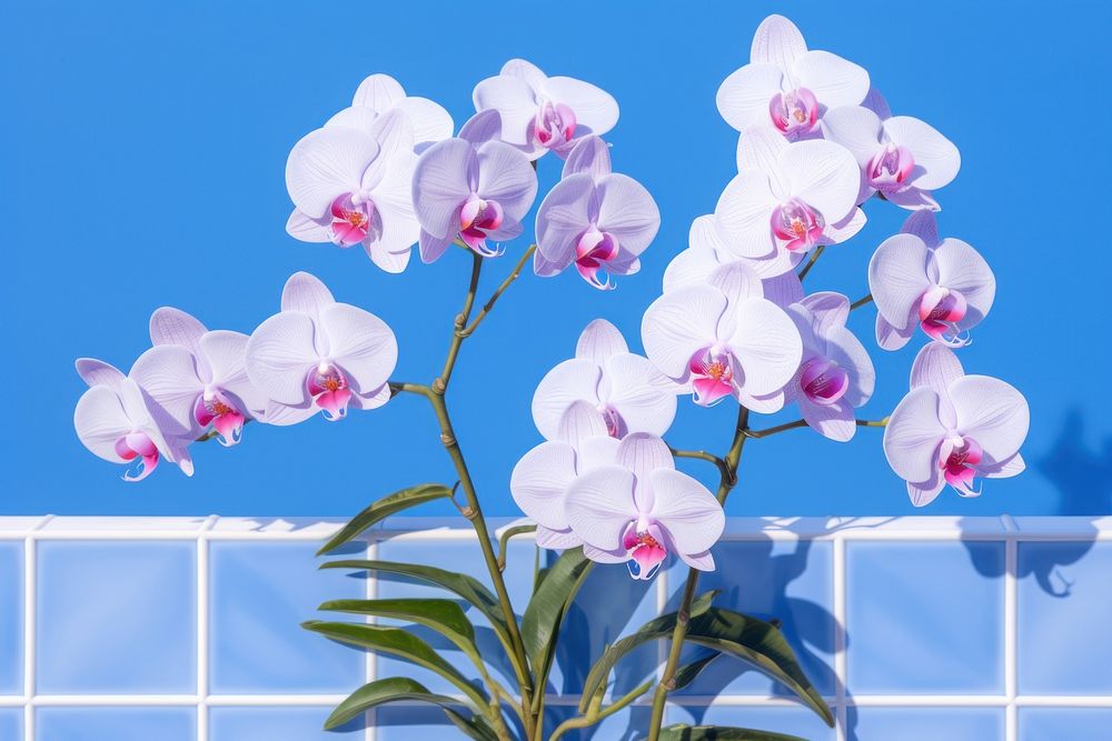 Orchid tile background blossom flower plant. AI generated Image by rawpixel.