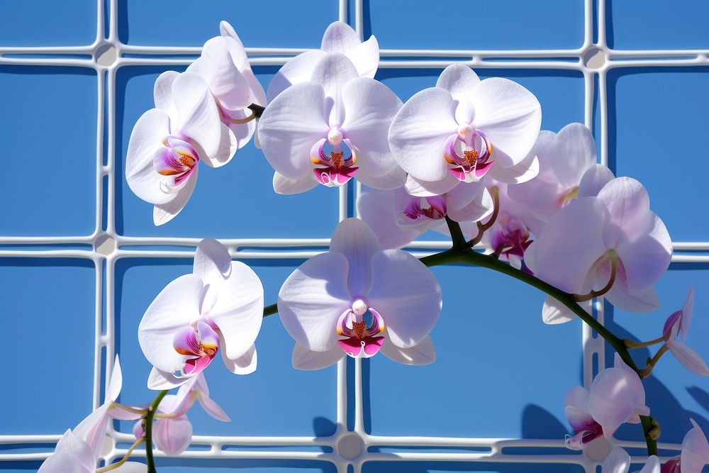 Orchid tile background blossom flower plant. AI generated Image by rawpixel.
