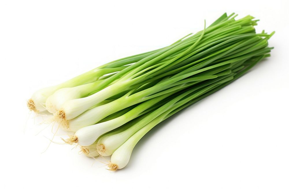 Green onion japanese vegetable plant bunch.