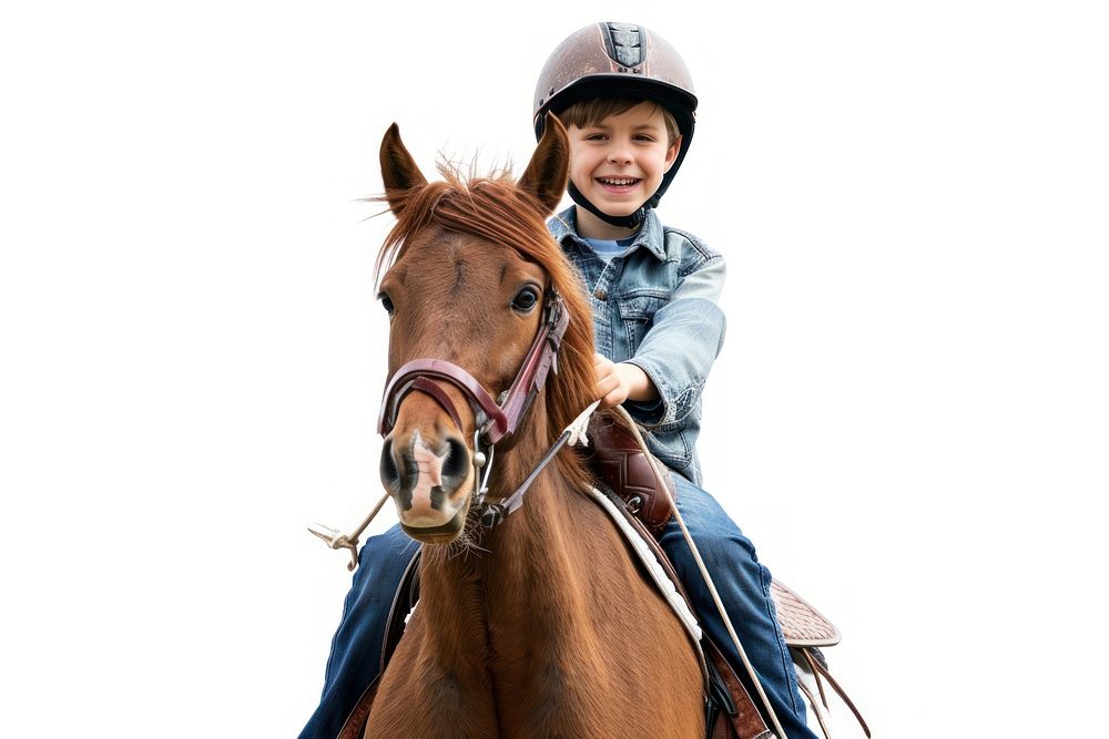Joyful boy riding horse with safety helmet mammal animal white background.