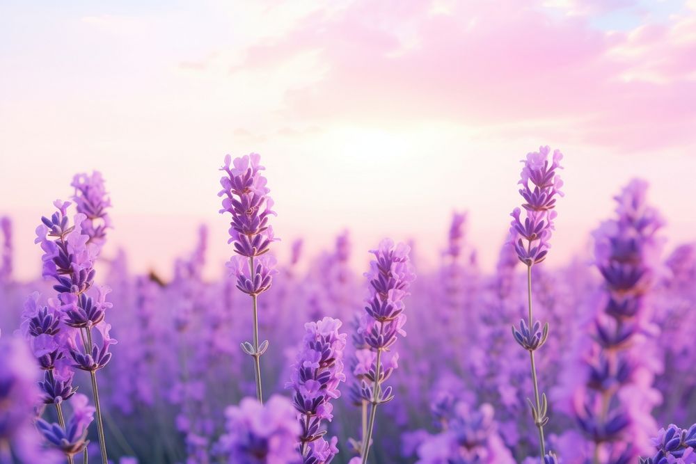  Lavender sky backgrounds landscape. AI generated Image by rawpixel.