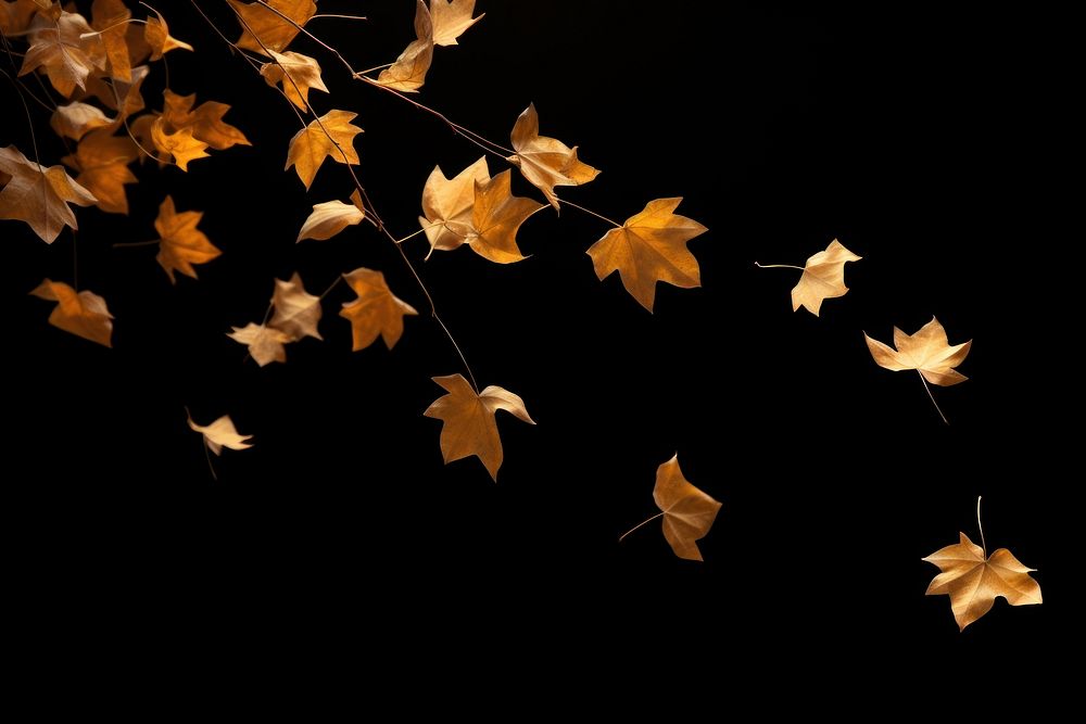 Leaves falling plant black leaf. AI generated Image by rawpixel.