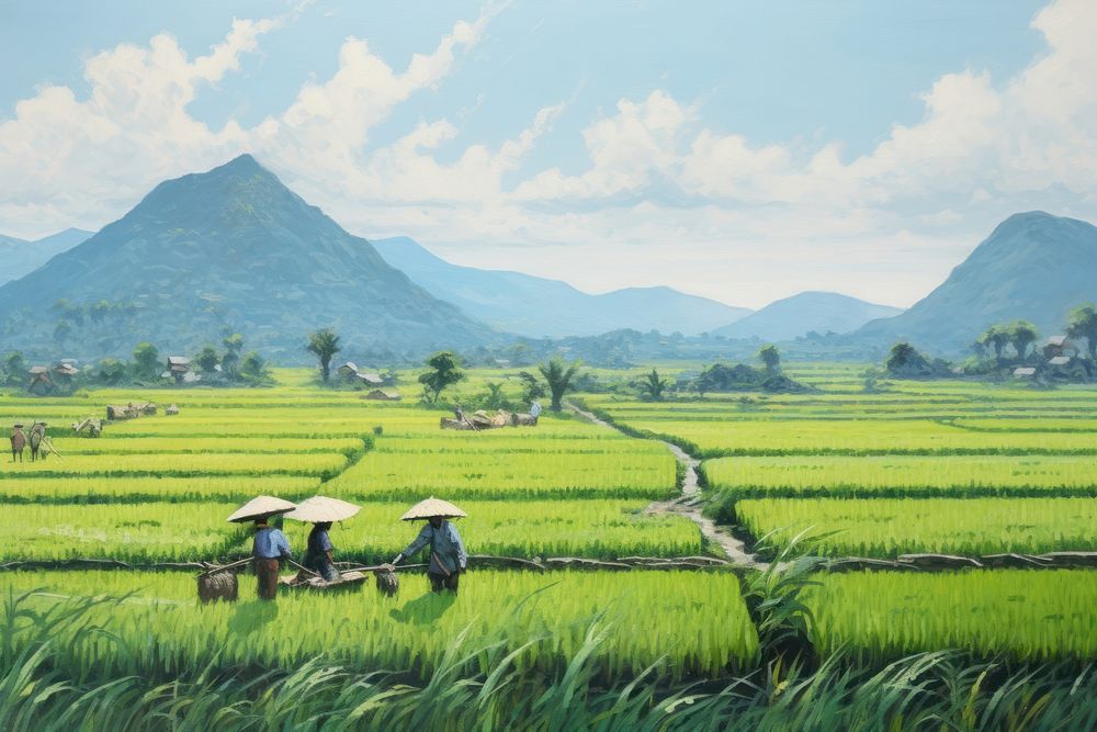PNG Vietnam rice field while harvesting outdoors painting nature. AI generated Image by rawpixel.