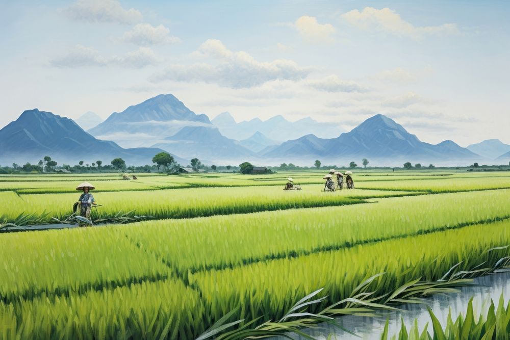 PNG Vietnam rice field while harvesting landscape outdoors bicycle. AI generated Image by rawpixel.