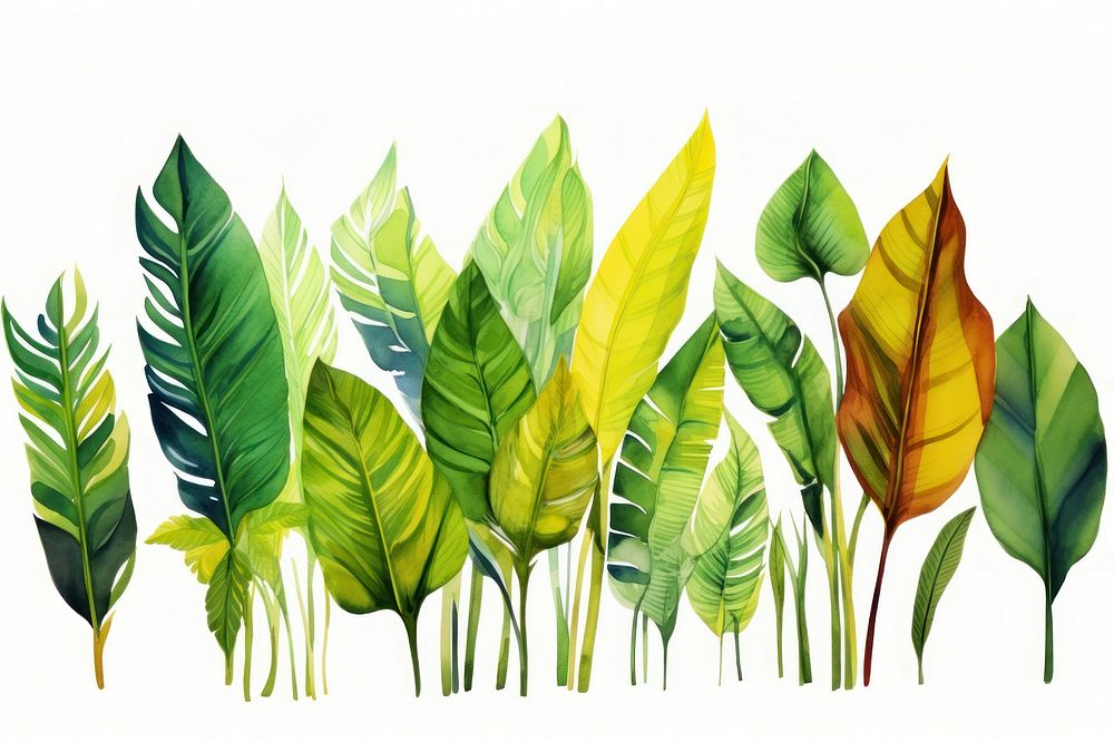 Various and contrast color in tropical leaves backgrounds nature green.