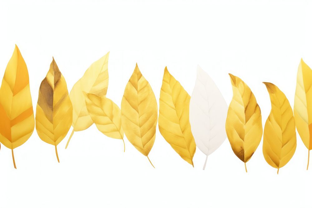 Gold leaves plant leaf white background.