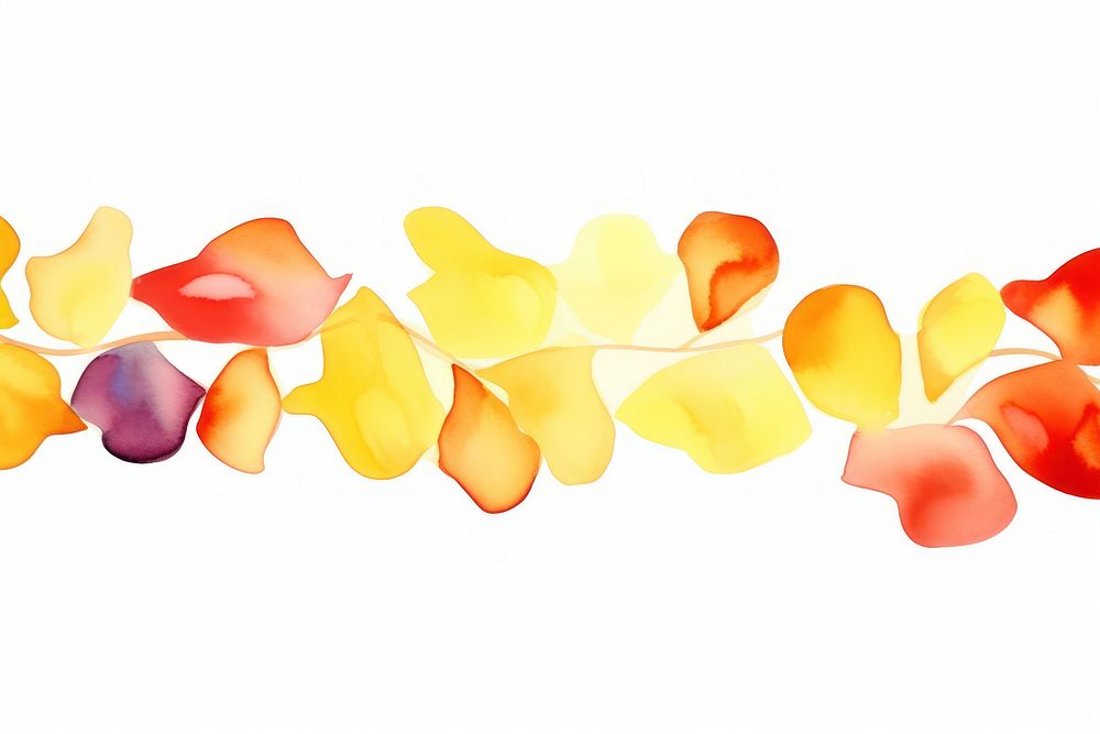 Petals backgrounds white background accessories.