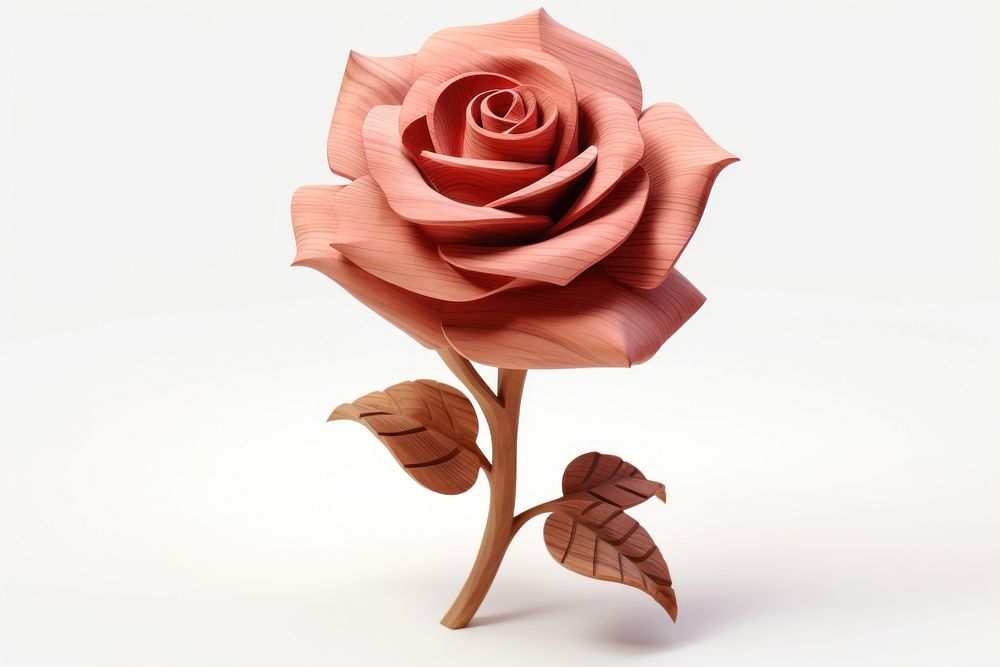 Rose flower plant art.