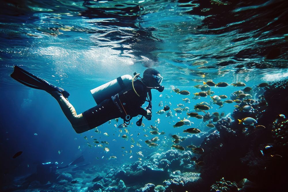 Underwater photo of scuba diving recreation adventure swimming.
