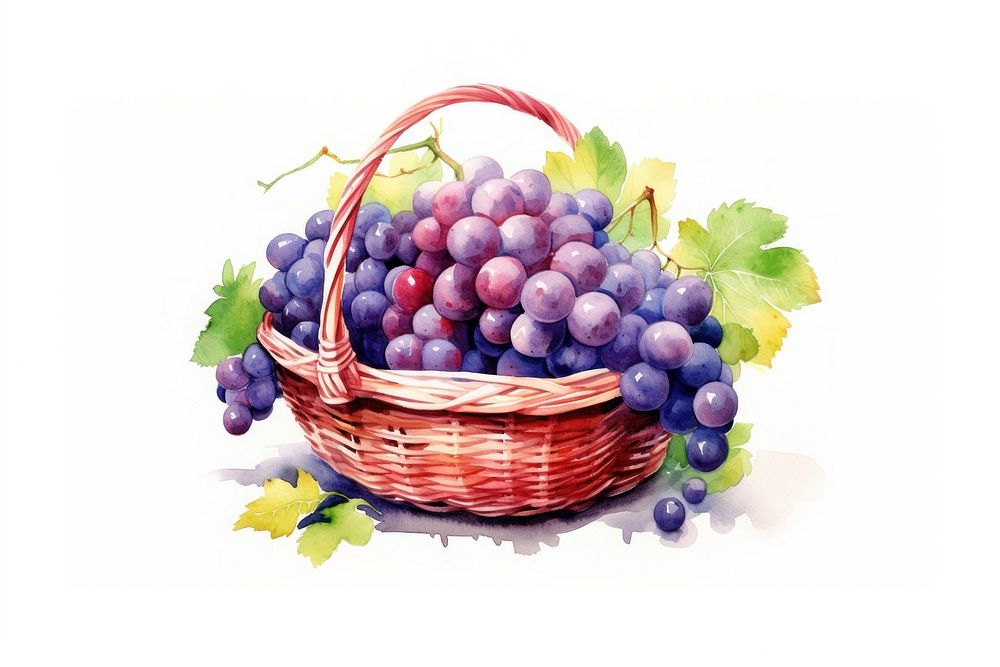 Fruit basket grapes plant food.