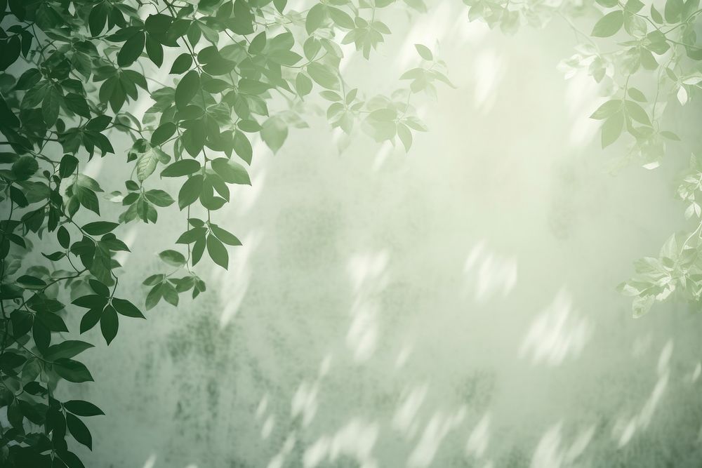  A green wall with green leaves and shadows outdoors nature forest. AI generated Image by rawpixel.
