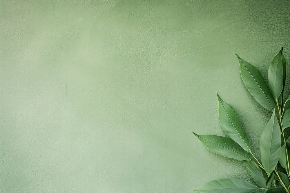  Green clean backgrounds texture plant. AI generated Image by rawpixel.