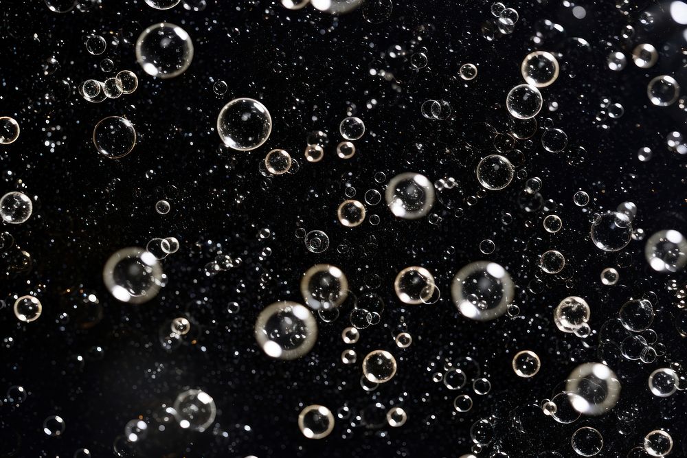 Black sparkling wine bubbles backgrounds black transparent. AI generated Image by rawpixel.