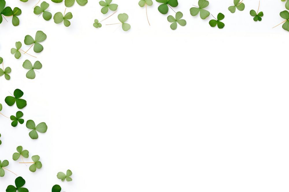 Clover leaves are scattered in the form of a border backgrounds plant leaf.