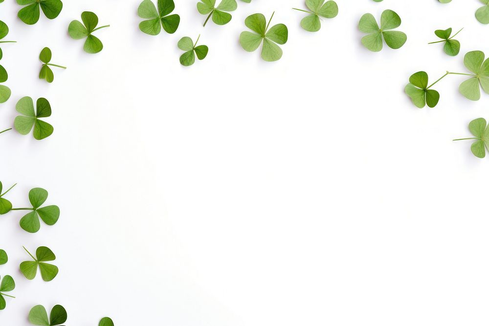 Clover leaves are scattered in the form of a frame backgrounds plant leaf.