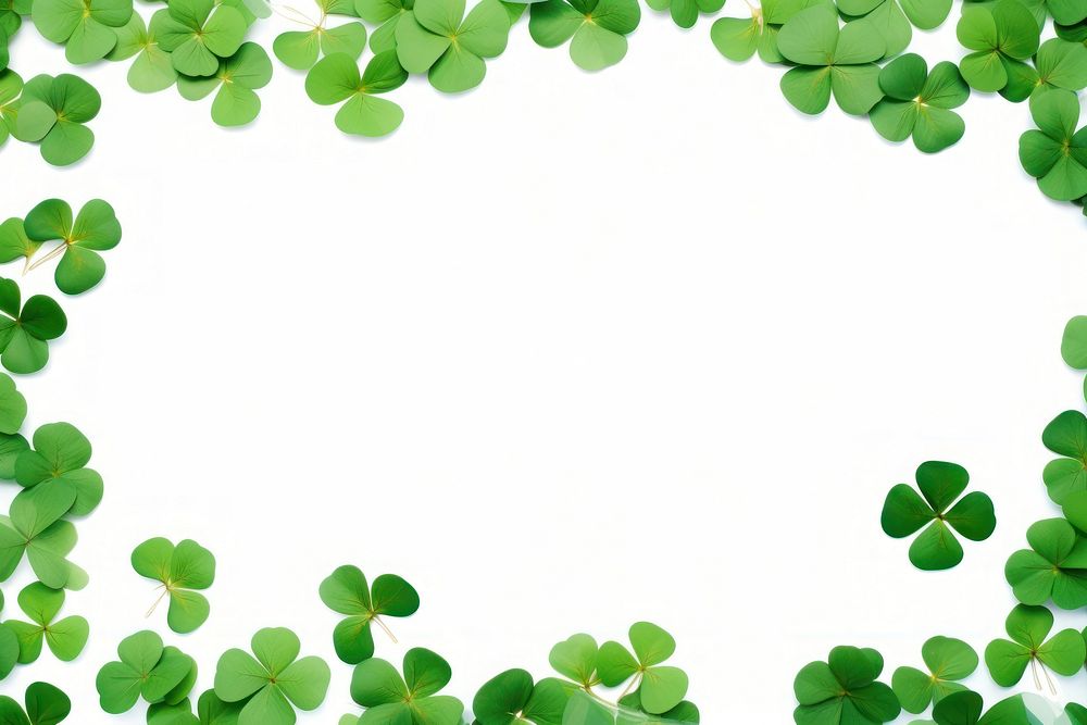 Clover leaves are scattered in the form of a frame backgrounds nature plant.