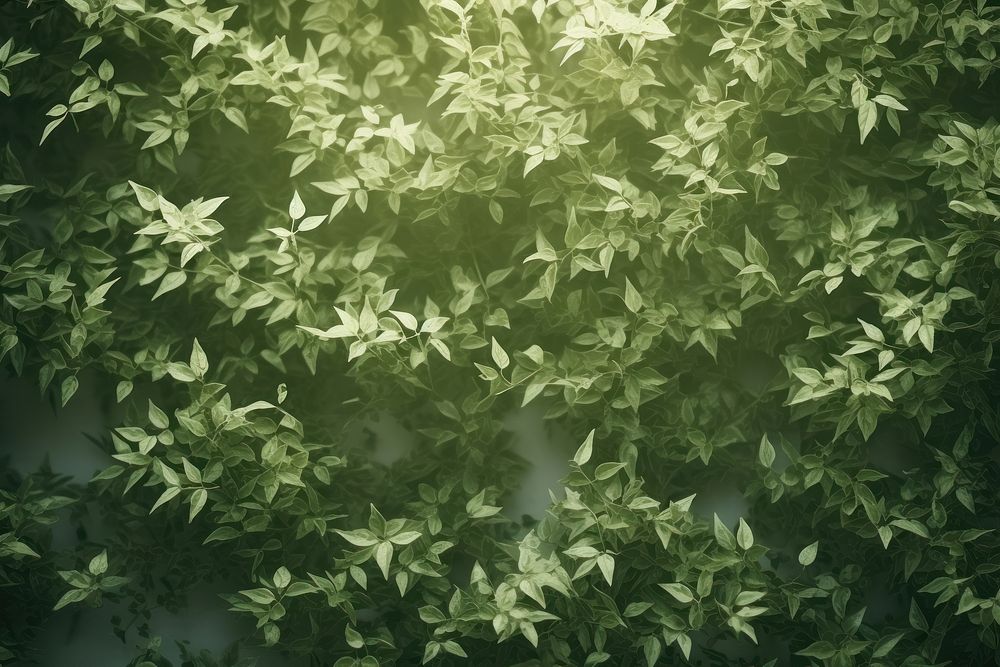  A green wall with green leaves and shadows nature outdoors forest. AI generated Image by rawpixel.