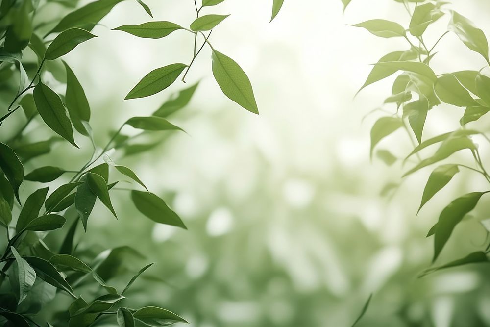  A green wall with green leaves and shadows nature outdoors foliage. AI generated Image by rawpixel.