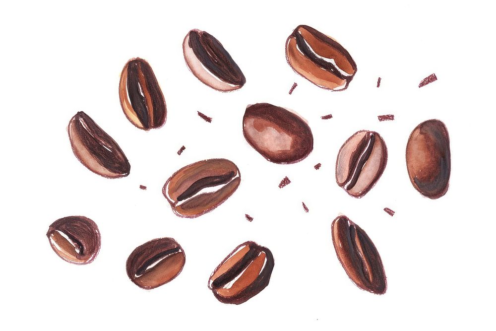 Coffee beans backgrounds white background chocolate. AI generated Image by rawpixel.