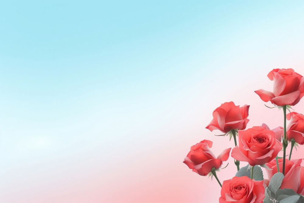 PNG Red roses backgrounds flower petal. AI generated Image by rawpixel.