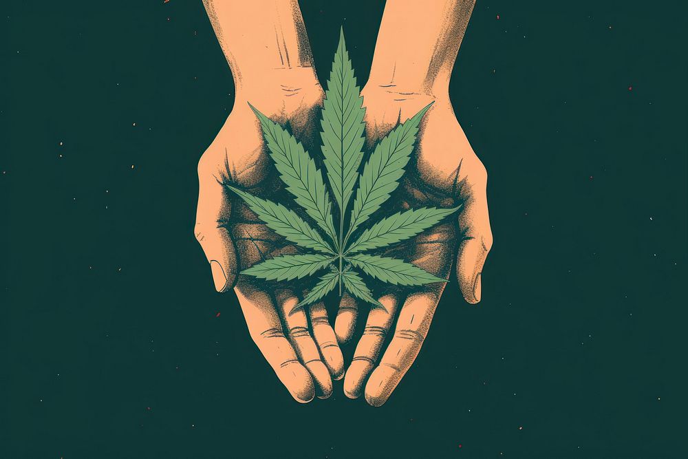 Cannabis leaf hand holding finger.