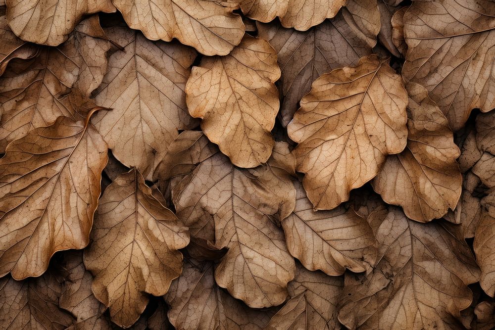  Leaf texture backgrounds plant tree. AI generated Image by rawpixel.