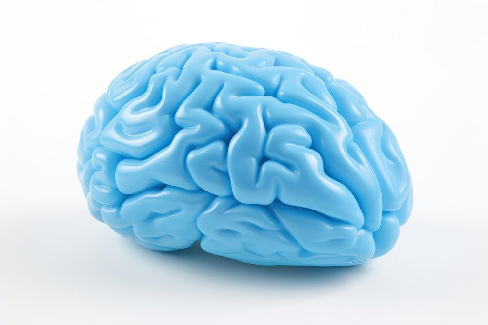 Brain human food blue.