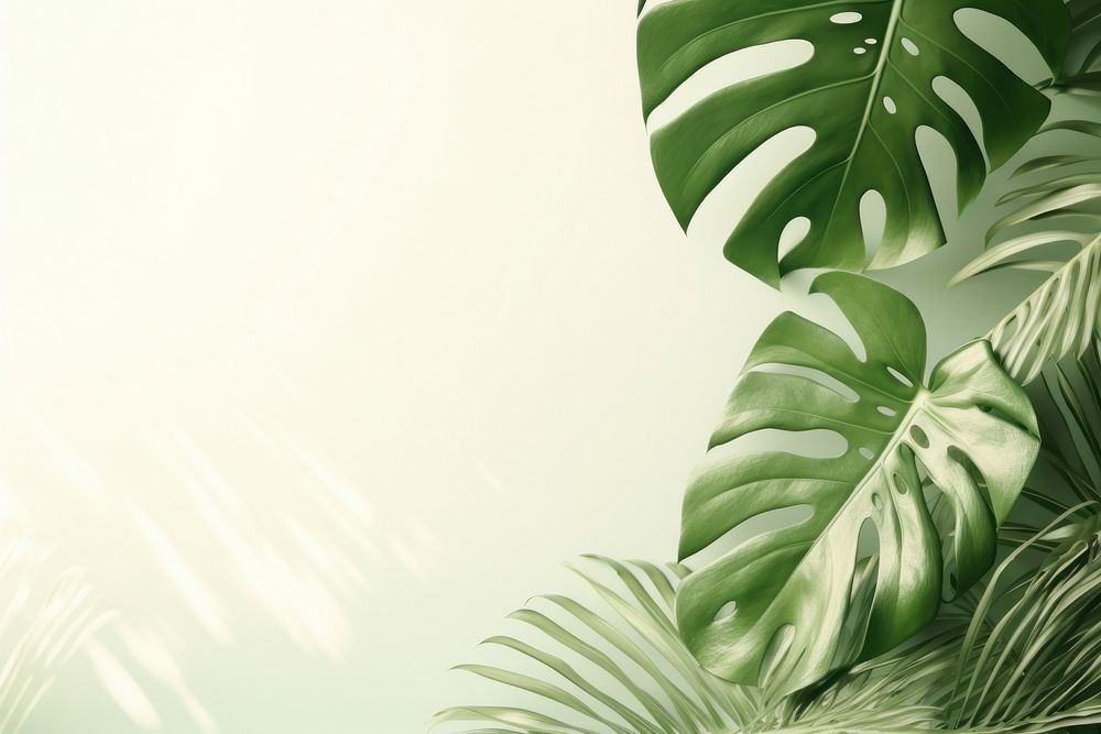  A green wall with monstera leaves and shadows nature outdoors plant. AI generated Image by rawpixel.