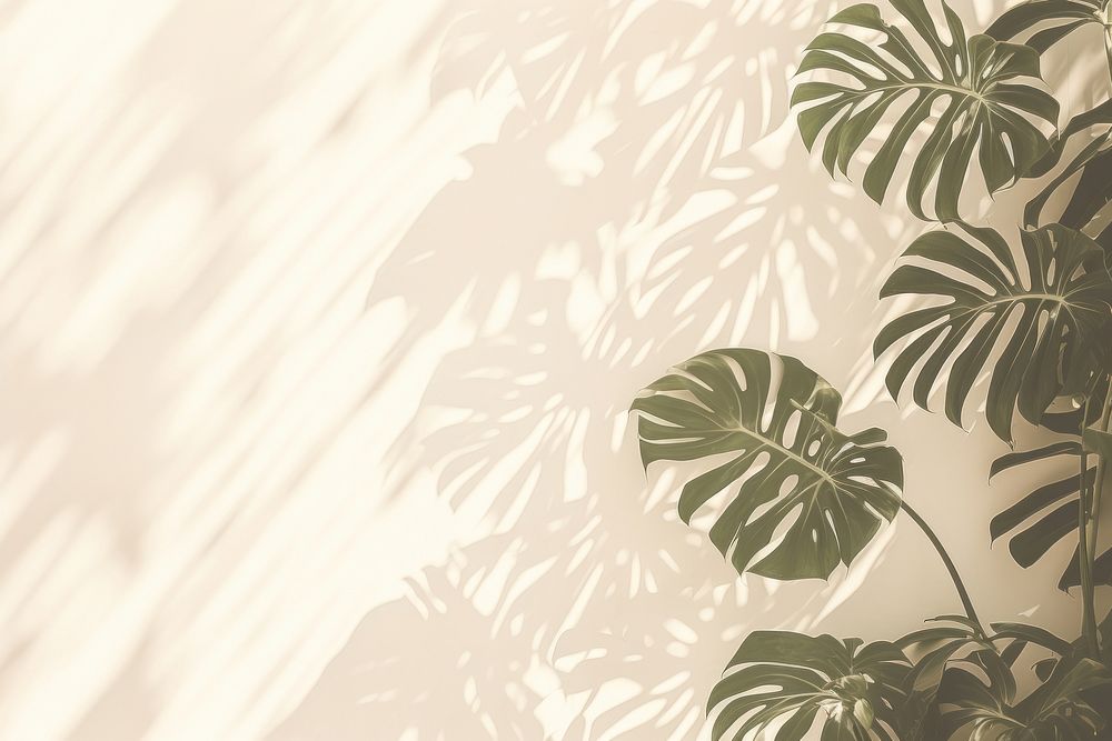  A wall with monstera leaves and shadows nature outdoors plant. AI generated Image by rawpixel.