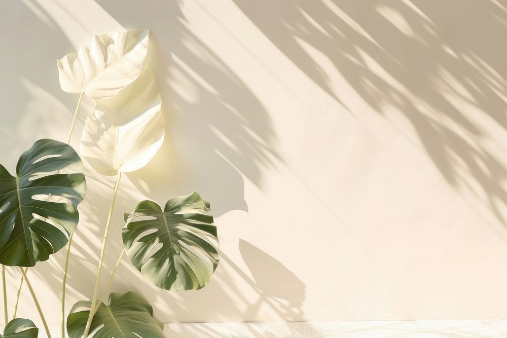  A wall with Alocasia leaves and shadows nature flower plant. AI generated Image by rawpixel.
