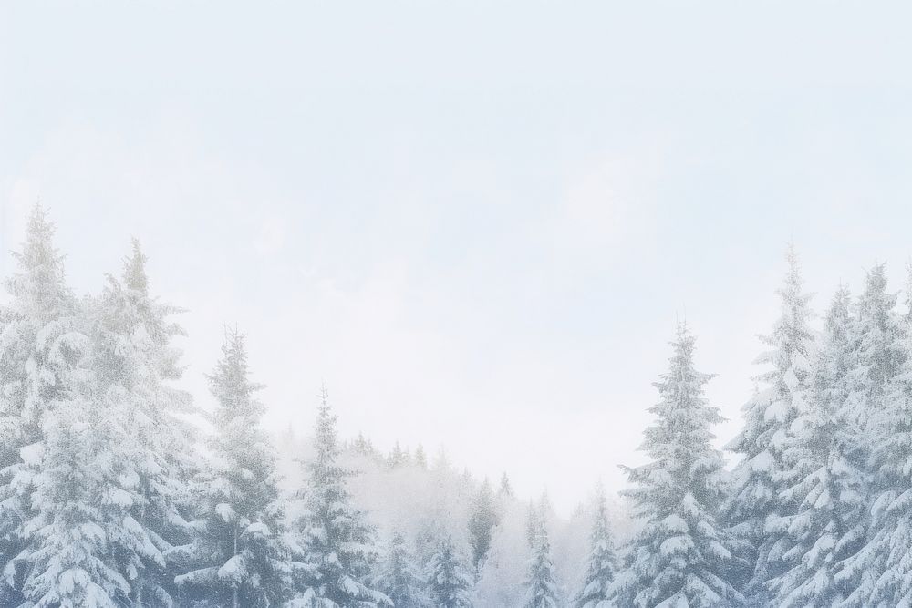 Winter backgrounds outdoors nature.