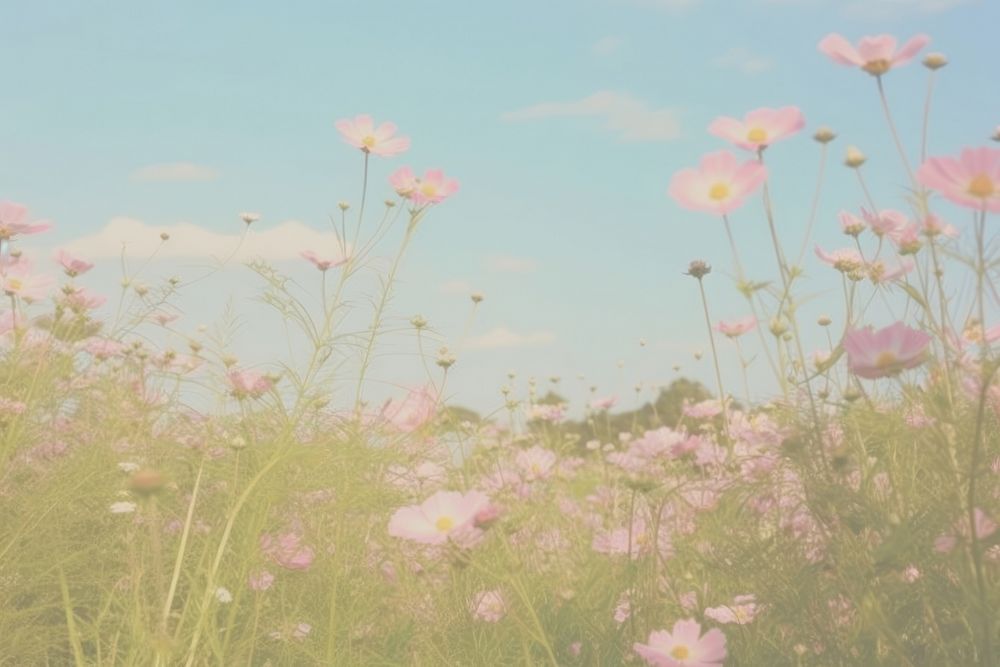  Flower backgrounds grassland landscape. AI generated Image by rawpixel.