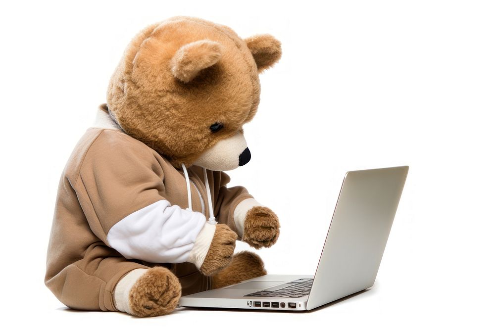 Teddy Bear computer laptop bear.