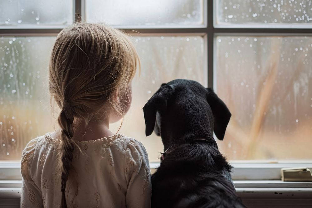 The window view with a girls and a black dog looking to the outside mammal animal child.