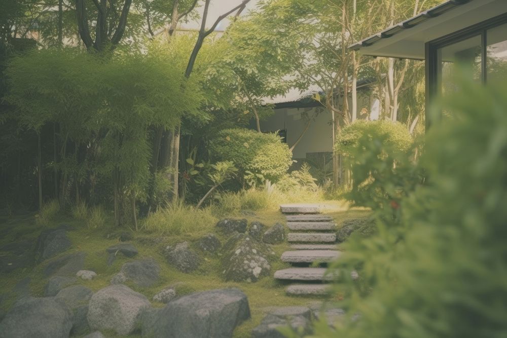 Backyard lanscape architecture outdoors building.