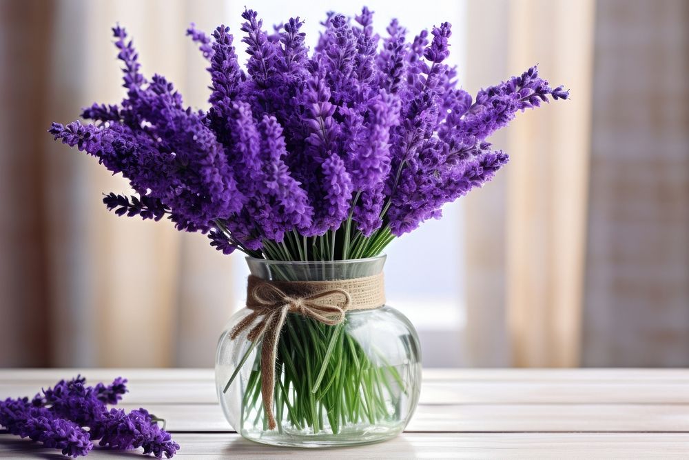 Lavender flower plant jar.