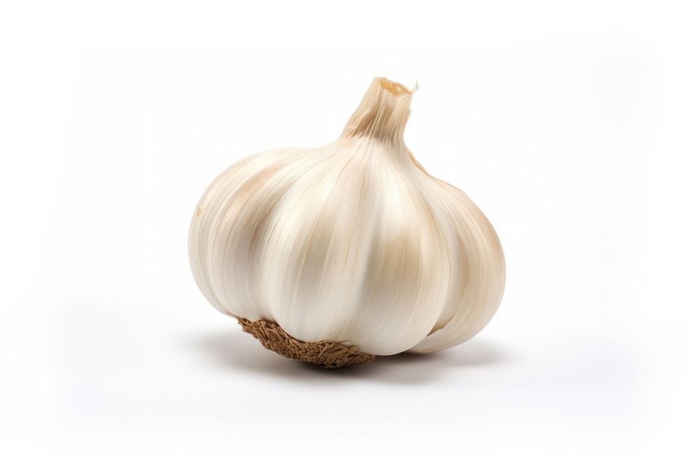 Garlic vegetable plant food.