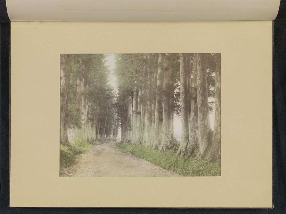 Weg naar Nikko met Japanse ceders (c. 1887 - in or before 1897) by anonymous and anonymous