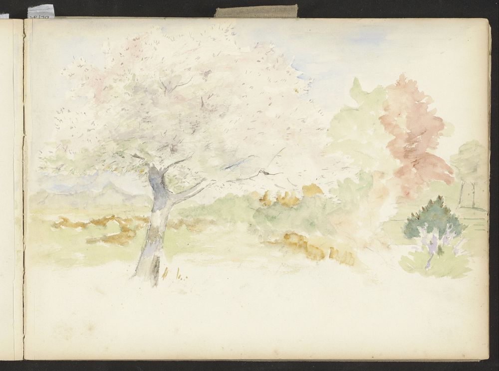 Bomen in bloei (c. 1913 - c. 1916) by jonkheer Johannes Ludovicus Paulus Bosch van Drakestein