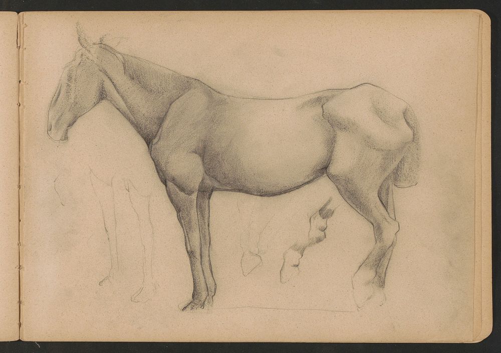 Staand paard en paardenbenen en -hoeven (c. 1930) by Sally Lohr