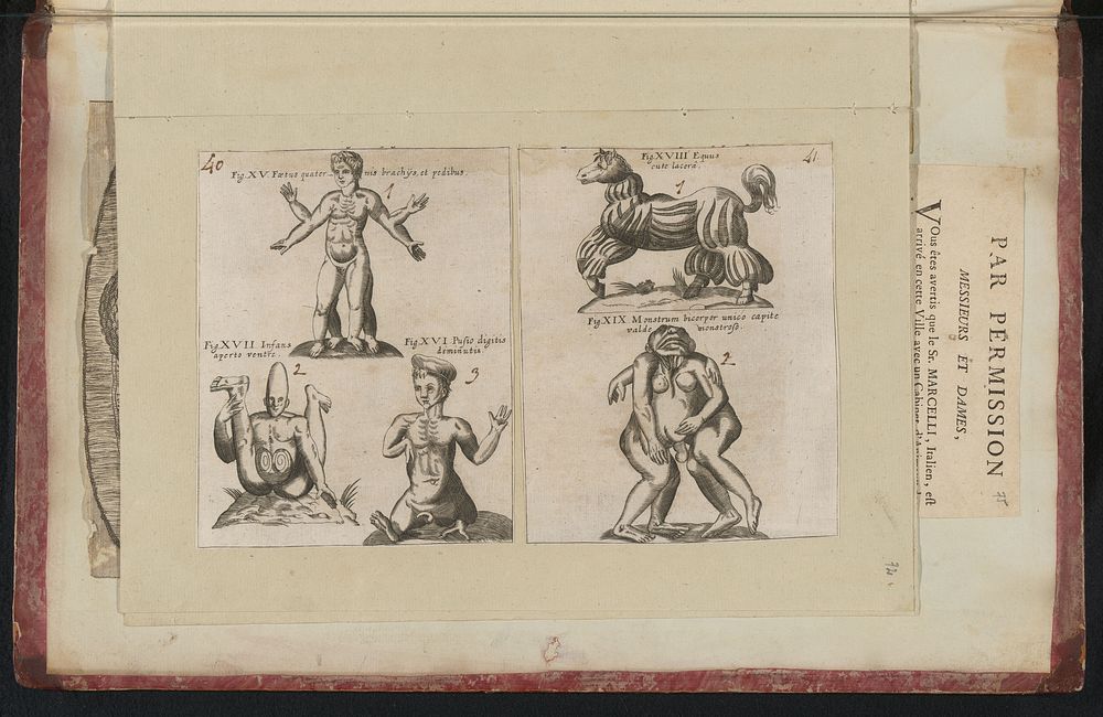 Misvormde menselijke figuren en dieren (1665 - 1667) by anonymous