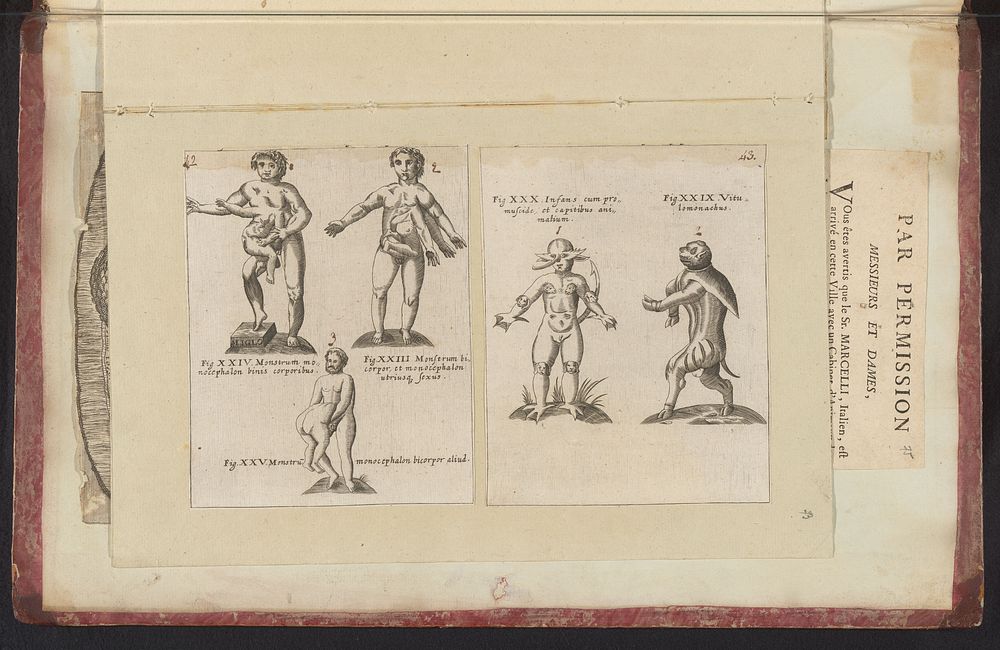 Misvormde menselijke figuren en dieren (1665 - 1667) by anonymous