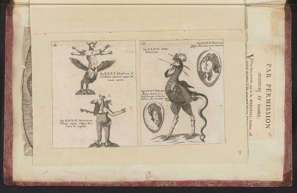 Monsterlijke dieren (1665 - 1667) by anonymous
