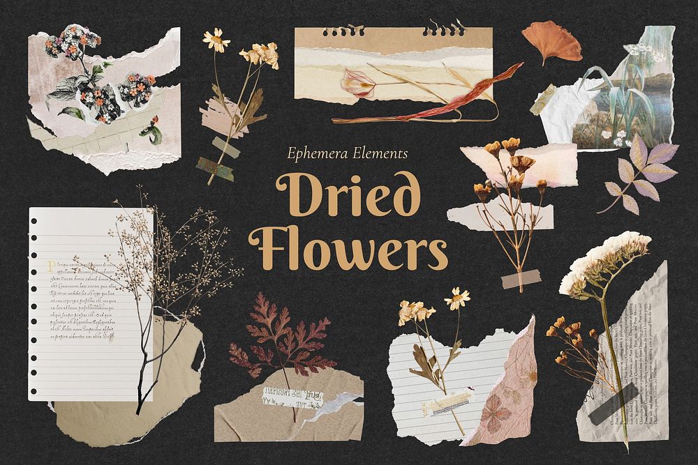 Dried flower design element set
