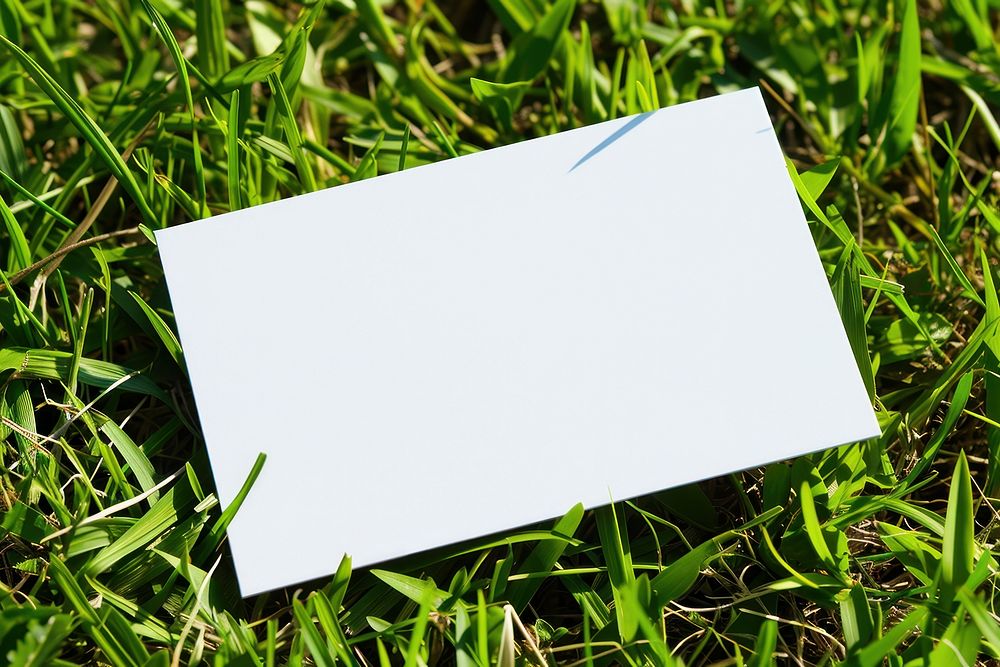 Business card grass plant white.