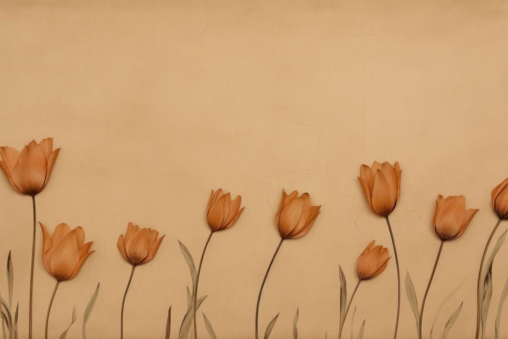 Real Pressed tulip border flower backgrounds painting.