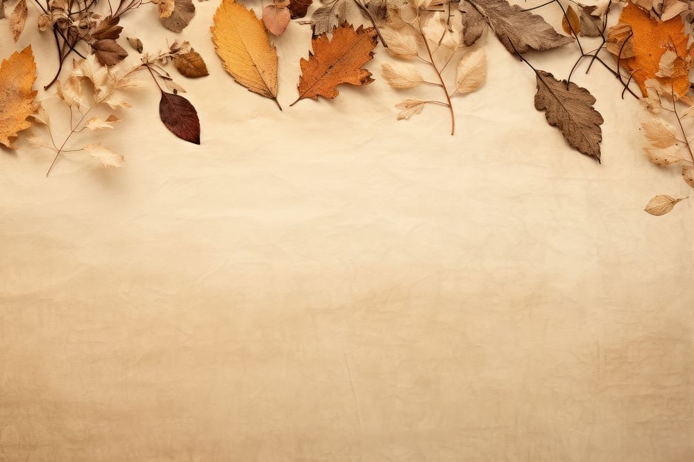 Real Pressed autumn leaves border backgrounds textured plant.